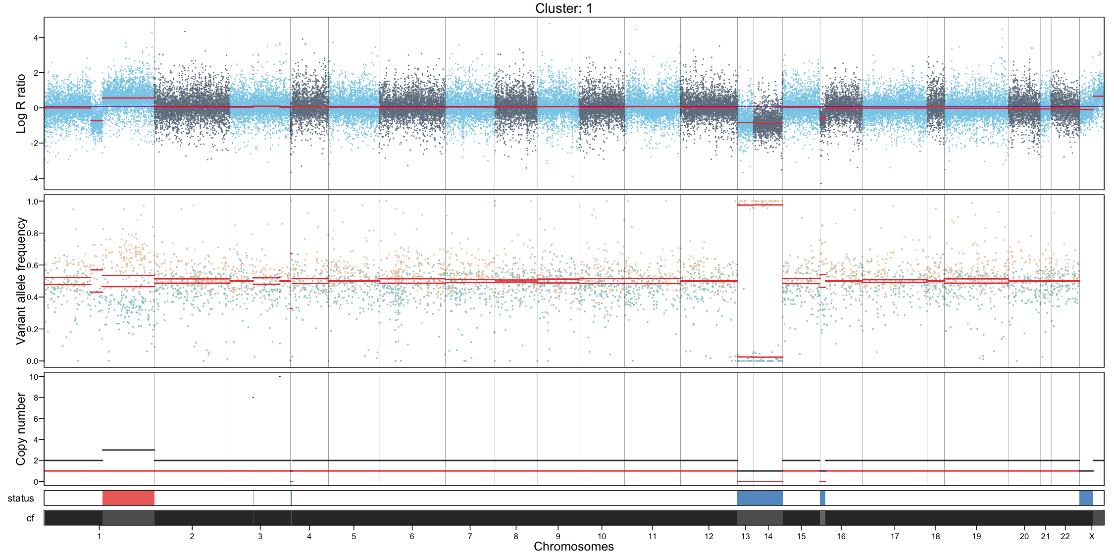 CNA profile - cluster 1