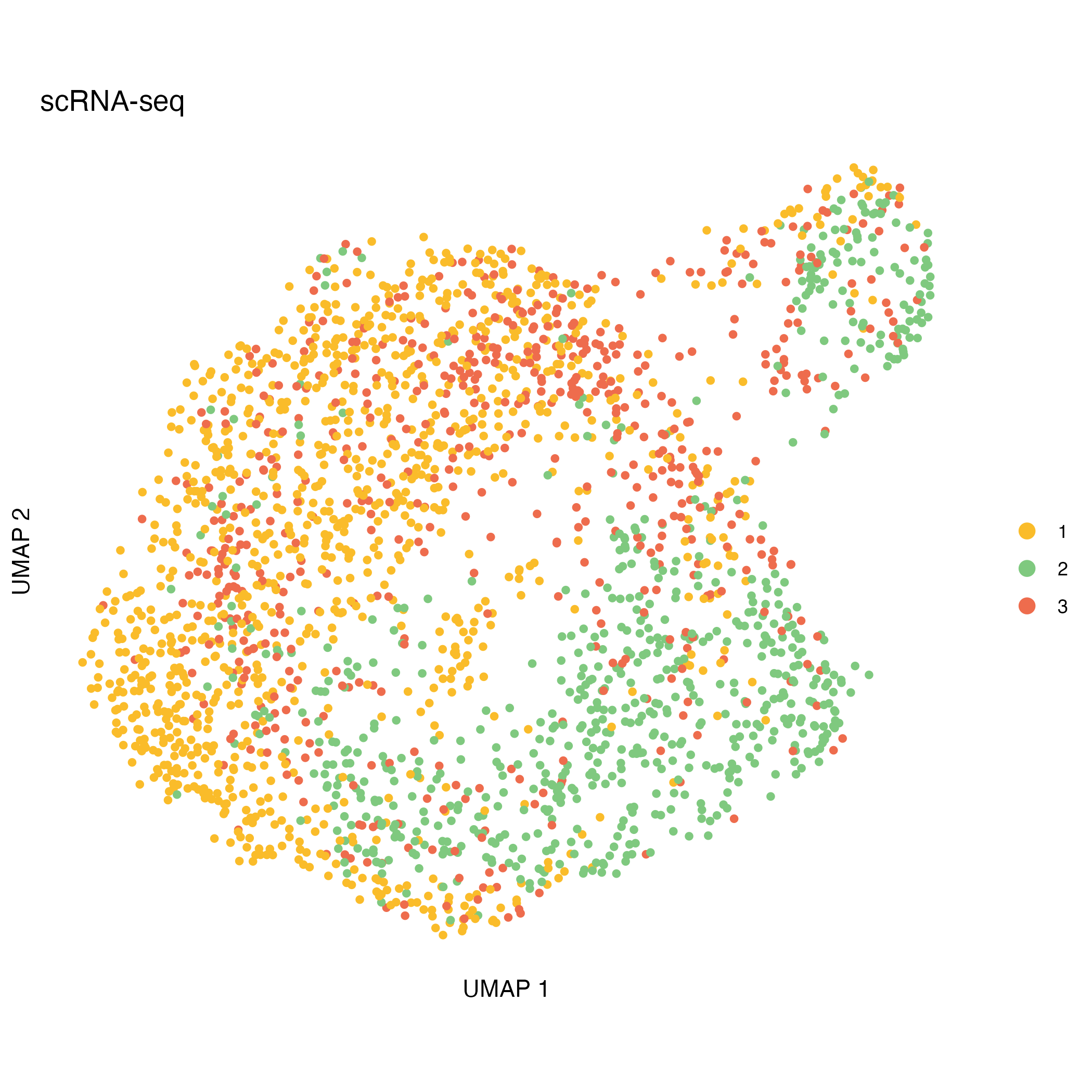 Copy number clusters projected on RNA UMAP